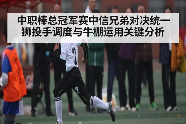 中职棒总冠军赛中信兄弟对决统一狮投手调度与牛棚运用关键分析